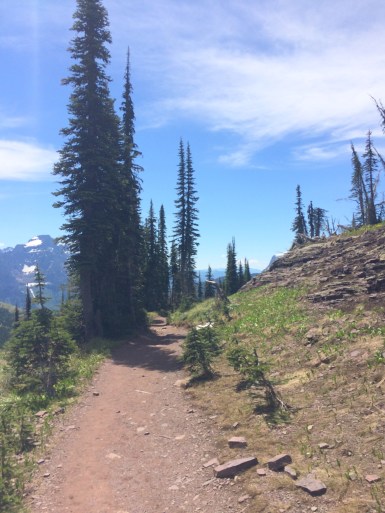 revisedtrail - with trees